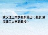 武漢理工大學(xué)張帆簡歷（張航 武漢理工大學(xué)副教授）