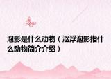 泡影是什么動(dòng)物（漚浮泡影指什么動(dòng)物簡(jiǎn)介介紹）