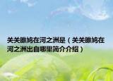 關(guān)關(guān)雎鳩在河之洲是（關(guān)關(guān)雎鳩在河之洲出自哪里簡介介紹）