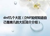 dnf幾個(gè)大區(qū)（DNF如何知道自己是跨幾的大區(qū)簡(jiǎn)介介紹）