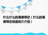 什么什么的海灘填空（什么的海灘填空成語簡介介紹）