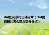 dnf如何獲得史詩碎片（dnf史詩碎片怎么獲得簡介介紹）