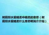 樹蔭照水愛晴柔中晴柔的意思（樹蔭照水愛晴柔什么意思呢簡介介紹）