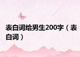表白詞給男生200字（表白詞）