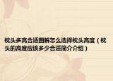 枕頭多高合適圖解怎么選擇枕頭高度（枕頭的高度應(yīng)該多少合適簡(jiǎn)介介紹）