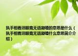 執(zhí)手相看淚眼竟無(wú)語(yǔ)凝噎的意思是什么（執(zhí)手相看淚眼竟無(wú)語(yǔ)凝噎什么意思簡(jiǎn)介介紹）