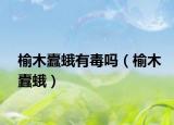 榆木蠹蛾有毒嗎（榆木蠹蛾）