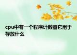 cpu中有一個(gè)程序計(jì)數(shù)器它用于存放什么