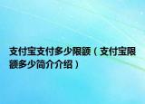 支付寶支付多少限額（支付寶限額多少簡(jiǎn)介介紹）