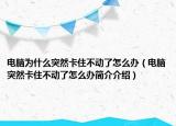 電腦為什么突然卡住不動了怎么辦（電腦突然卡住不動了怎么辦簡介介紹）