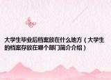 大學(xué)生畢業(yè)后檔案放在什么地方（大學(xué)生的檔案存放在哪個(gè)部門簡介介紹）