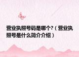 營(yíng)業(yè)執(zhí)照號(hào)碼是哪個(gè)?（營(yíng)業(yè)執(zhí)照號(hào)是什么簡(jiǎn)介介紹）