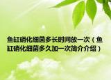 魚缸硝化細菌多長時間放一次（魚缸硝化細菌多久加一次簡介介紹）