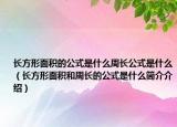 長方形面積的公式是什么周長公式是什么（長方形面積和周長的公式是什么簡介介紹）
