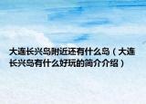 大連長興島附近還有什么島（大連長興島有什么好玩的簡介介紹）