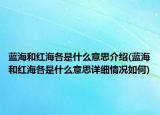 藍海和紅海各是什么意思介紹(藍海和紅海各是什么意思詳細情況如何)