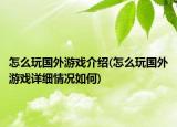 怎么玩國(guó)外游戲介紹(怎么玩國(guó)外游戲詳細(xì)情況如何)