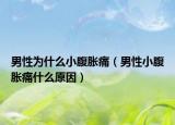 男性為什么小腹脹痛（男性小腹脹痛什么原因）