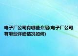 電子廠公司有哪些介紹(電子廠公司有哪些詳細情況如何)