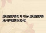 當初是你要分開介紹(當初是你要分開詳細情況如何)