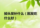掉頭發(fā)補(bǔ)什么（脫發(fā)吃什么好）