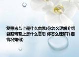 復(fù)照青苔上是什么意思(你怎么理解介紹 復(fù)照青苔上是什么意思 你怎么理解詳細(xì)情況如何)