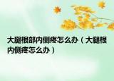 大腿根部?jī)?nèi)側(cè)疼怎么辦（大腿根內(nèi)側(cè)疼怎么辦）