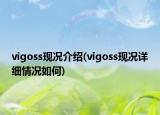 vigoss現(xiàn)況介紹(vigoss現(xiàn)況詳細(xì)情況如何)