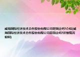 威海國際經(jīng)濟(jì)技術(shù)合作股份有限公司是國企嗎?介紹(威海國際經(jīng)濟(jì)技術(shù)合作股份有限公司是國企嗎?詳細(xì)情況如何)
