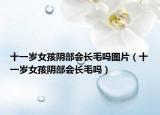 十一歲女孩陰部會長毛嗎圖片（十一歲女孩陰部會長毛嗎）