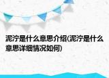 泥濘是什么意思介紹(泥濘是什么意思詳細情況如何)