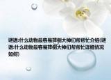 謎語(yǔ):什么動(dòng)物最容易摔倒大神們幫幫忙介紹(謎語(yǔ):什么動(dòng)物最容易摔倒大神們幫幫忙詳細(xì)情況如何)
