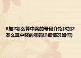 8加2怎么算中獎(jiǎng)的號(hào)碼介紹(8加2怎么算中獎(jiǎng)的號(hào)碼詳細(xì)情況如何)