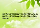 神之圣域11正式版攻略新手完美通關(guān)開局怎么玩介紹(神之圣域11正式版攻略新手完美通關(guān)開局怎么玩詳細(xì)情況如何)