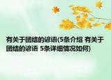 有關(guān)于團(tuán)結(jié)的諺語(5條介紹 有關(guān)于團(tuán)結(jié)的諺語 5條詳細(xì)情況如何)