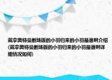戴拿奧特曼劇場版的小羽歸來的小羽是誰啊介紹(戴拿奧特曼劇場版的小羽歸來的小羽是誰啊詳細(xì)情況如何)
