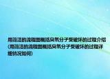 用簡潔的流程圖概括臭氧分子受破壞的過程介紹(用簡潔的流程圖概括臭氧分子受破壞的過程詳細(xì)情況如何)