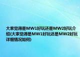 大家覺得是MW1好玩還是MW2好玩介紹(大家覺得是MW1好玩還是MW2好玩詳細(xì)情況如何)