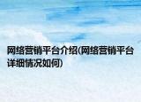 網(wǎng)絡營銷平臺介紹(網(wǎng)絡營銷平臺詳細情況如何)