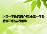 小露一手歇后語介紹(小露一手歇后語詳細情況如何)
