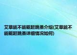 艾草能不能驅趕跳蚤介紹(艾草能不能驅趕跳蚤詳細情況如何)