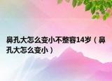 鼻孔大怎么變小不整容14歲（鼻孔大怎么變?。? /></span></a>
                        <h2><a href=