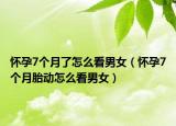 懷孕7個(gè)月了怎么看男女（懷孕7個(gè)月胎動(dòng)怎么看男女）