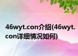 46wyt.con介紹(46wyt.con詳細情況如何)