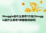 Struggle是什么意思?介紹(Struggle是什么意思?詳細(xì)情況如何)