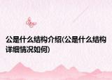 公是什么結構介紹(公是什么結構詳細情況如何)