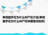 泰坦魔芋花為什么叫尸花介紹(泰坦魔芋花為什么叫尸花詳細(xì)情況如何)