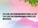 為什么網(wǎng)上看不到宮崎駿的酵母與雞蛋公主介紹(為什么網(wǎng)上看不到宮崎駿的酵母與雞蛋公主詳細(xì)情況如何)