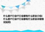 什么是IT行業(yè)IT行業(yè)都有什么職業(yè)介紹(什么是IT行業(yè)IT行業(yè)都有什么職業(yè)詳細情況如何)