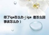 得了iga怎么辦（iga  是怎么回事該怎么辦）